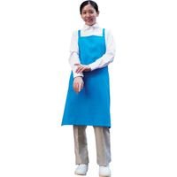 岡潮 ポケット付き胸あてエプロン (ポリエステル100%) 8105 青色 1着 612-6117（直送品）
