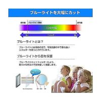 cblm-moni-k0001581361（直送品）