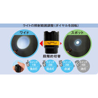 リマーク ネックストラップ付きズームライト 81722 1個（直送品）