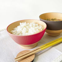 カノー やさしい彩り 飯椀2P るり・あかね 81772 1セット(2個入)（直送品）