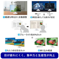 EIZO FlexScan EV2400R EV2400R-WT 1台（直送品）