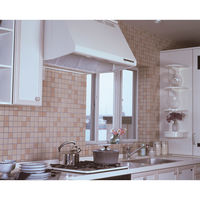 アーランド レンジフードフィルター45×60cm 5枚入 82124 1セット(5枚入)（直送品）