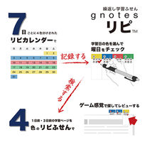 プリントインフォームジャパン リピ (繰り返し学習ふせん) 日本語バージョン 1801-1001-0000 1セット(1個×10)（直送品）
