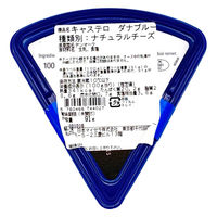 日本マイセラ 業務用 キャステロダナブル 273494 1ケース 91g×10個（直送品）