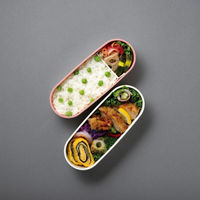 サーモス フレッシュランチボックス2段 DJT-601W P 1個（直送品）