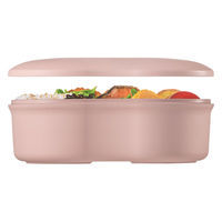 サーモス フレッシュランチボックス DJV-570 SKR 1個（直送品）