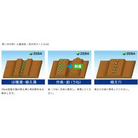 ファイトクローム ZEBA 66006 1個(5kg)（直送品）