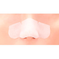 ツルリ　角栓溶解ノーズパック　10枚入 スタイリングライフ・ホールディングス　BCL カンパニー　毛穴　部分用パック