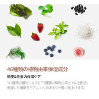 クンダル ハニー&マカデミア シャンプー ウェディングブーケ 500ml 韓国コスメ