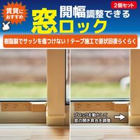 プラセス 窓用補助錠レグロック 2個入 グレー 12373600 1セット(4個)（直送品）