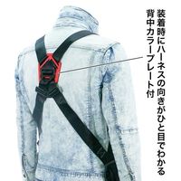 ジェフコム フルハーネス DBーHNー30PG 1ケ（直送品）