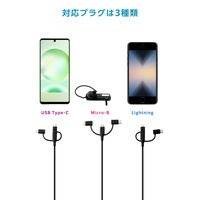 3in1 ケーブル USB-A to Micro-B＋変換2種 1m ブラック MPA-AMBLCEC10BK エレコム 1個（直送品）