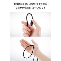 iPhone充電ケーブル USB-C to ライトニング 2m PD対応 ブラック MPA-CLECSS20BK エレコム 1個（直送品）