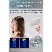 ドライヤー 大風量 速乾 温度センサー 熱ダメージ配慮 マイナスイオン 1300W ゴールド TD713A-N テスコム 1個（直送品）