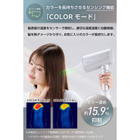 ドライヤー 大風量 速乾 温度センサー 熱ダメージ配慮 マイナスイオン 1300W シルバー TD713A-S テスコム 1個（直送品）