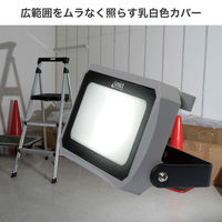 朝日電器 LED投光器 1000ルーメン 昼白色相当 LFL-1001 1個（直送品）