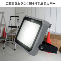 朝日電器 LED投光器 2000ルーメン 昼白色相当 LFL-1002 1個（直送品）