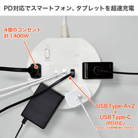 朝日電器 延長コード 耐雷 集中スイッチ付き 丸形 4個口/2m PD20W ホワイト WLS-R4322BUC(W) 1個（直送品）