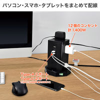 朝日電器 延長コード 電源タップ 耐雷 タワー型 12個口/2m PD20W ブラック WBS-TW12442BUC(BK) 1個（直送品）
