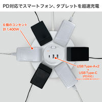 朝日電器 延長コード 耐雷 集中スイッチ付き 丸形 6個口/2m PD20W ホワイト WLS-R6322BUC(W) 1個（直送品）