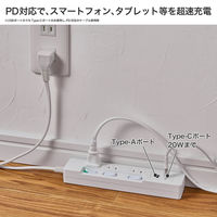 朝日電器 延長コード LEDランプレススイッチ付 3個口/2m PD20W ホワイト WLK-E3222UC(W) 1個（直送品）