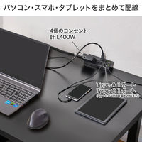 朝日電器 延長コード 耐雷 集中スイッチ付き デスク用 4個口/2m PD20W ブラック WLS-DS4222SUC(BK) 1個（直送品）