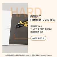 オウルテック iPadA16/第10世代対応 画面保護ガラス(マット) OWL-GSIH1101-AG 1個（直送品）