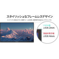 JAPANNEXT 23.8インチ 液晶ディスプレイ JN-IPS238F-HSP 1台（直送品）