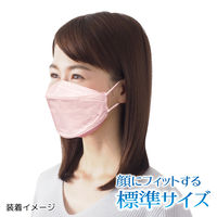 3D立体型マスク 5枚入 標準サイズ ピンク 10袋セット DP05-10-AS 1セット（10袋） エスパック（直送品）