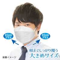 3D立体型マスク 5枚入 ワイドサイズ 白 10袋セット DYW05-10-AS 1セット（10袋） エスパック（直送品）