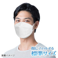 3D立体型マスク 5枚入 標準サイズ 白 10袋セット DW05-10-AS 1セット（10袋） エスパック（直送品）