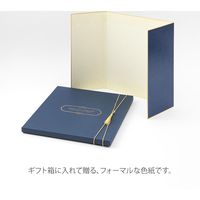 デザインフィル カラー色紙 シール付 箱入り 紺A 33266006 1個