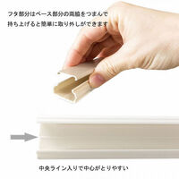オーム電機 テープ付ABSモール1号 1m ホワイト 00-9513 1個（わけあり品）