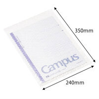 軽梱包用エアー緩衝袋フラップなし240mm×350mm 100枚入り PPFN61 1個（100枚） オリジナル（わけあり品）