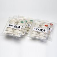 信念フーズ 八王子　信念手造り餃子セット YN-60 1個（直送品）