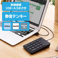 テンキー 有線 USB接続 抗菌 静音 メンブレン TK-TCM021SKBK ブラック 1個 エレコム（直送品）