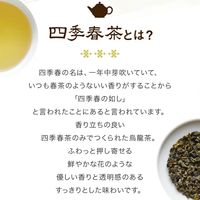 Tokyo Tea Trading 久順銘茶 凍頂四季春茶 1セット(80g×3)  茶葉