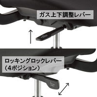 アイコ(AICO) メッシュバックチェア 座クッション/アルミ脚/ブラックシェル MS-1685BK(F12)WIN 1脚（直送品）