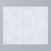 昭和紙工 ちっちゃい99.9%除菌ウェットシート 10枚入 4個パック 4957434009252 1パック(10枚入×4袋)