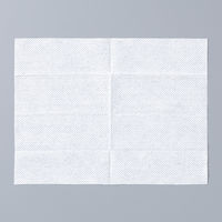 昭和紙工 昭和99.9&除菌 極厚ウェットティッシュ 20枚入 2個パック 4957434009122 1パック(20枚入×2袋)