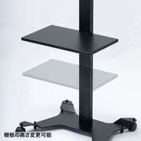 サンワサプライ カメラ台付きディスプレイスタンド CR-LAST35 1個（直送品）