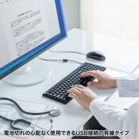 有線キーボード　ラバースイッチ　抗菌防水防塵仕様　スタンダード　ブラック　SKB-BS7BK　サンワサプライ　1個（直送品）