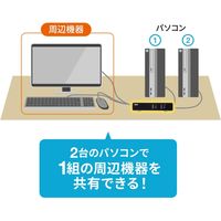サンワサプライ パソコン自動切替器(2:1) SW-KVM2LUN2 1個（直送品）