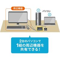 サンワサプライ パソコン切替器(エミュレーション非搭載・手元スイッチ付き) SW-KVM2UUSN2 1個
