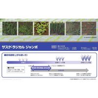 OATアグリオ サスケラジカルジャンボ 20g×10 #2056351 1袋（直送品）