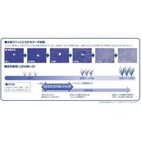 OATアグリオ ネビロスラジカルジャンボ20g×10 #2056357 1袋（直送品）