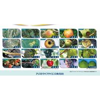 アリスタ ライフサイエンス アリスタ オーソサイド水和剤80 1kg ＃2056384 1袋（直送品）