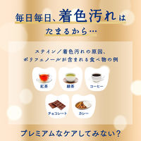 【アウトレット】Ora2（オーラツー）プレミアム ステインクリア シャイニーシトラスミント 100g 美白 歯磨き粉 1本 医薬部外品 サンスター