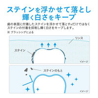 NONIO ノニオ  マウスウォッシュ プラスホワイトニング フレッシュホワイトミント 600mL 殺菌 口臭予防 洗口液 ライオン