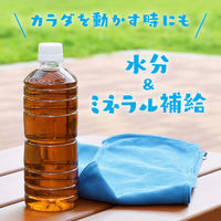 伊藤園 エコ ラベルレス 健康ミネラルむぎ茶 600ml 1箱（24本入）（わけあり品）